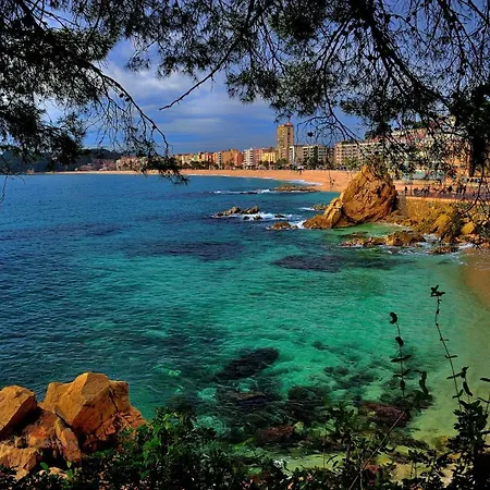 Alva Park Holidays Lejlighed *